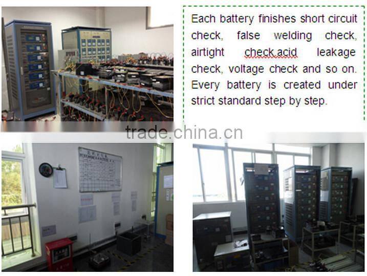 Valve regulted sealed lead acid 6v10ah storage battery