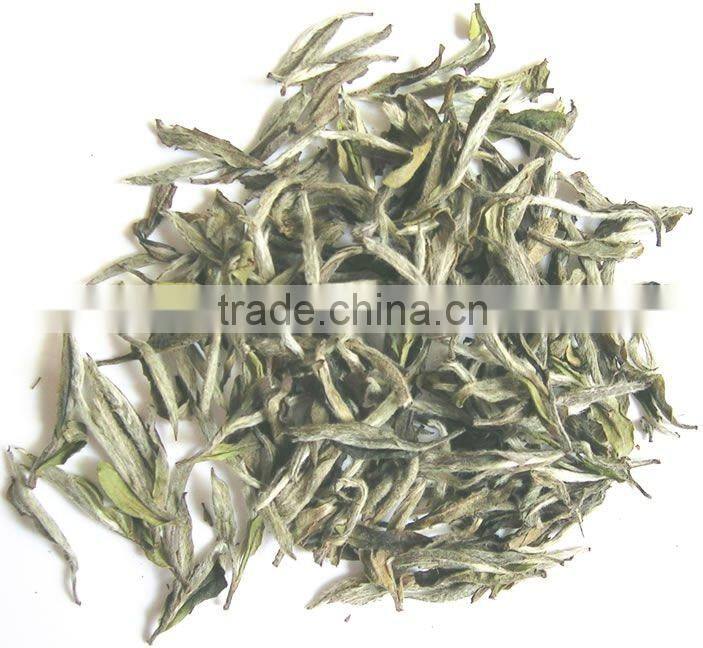 Best Quality for Instant White Tea Powder