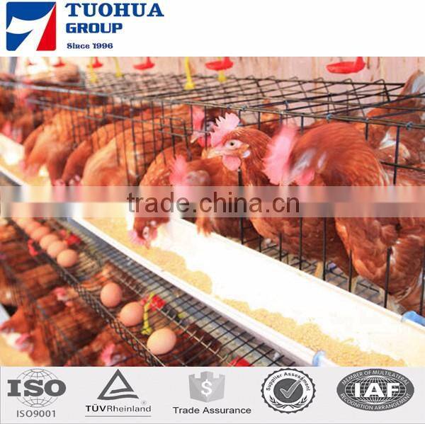 3 tiers layer poultry cages for kenya farms