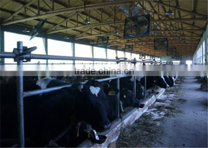 Dairy Cows Pipeline Milking Machine System