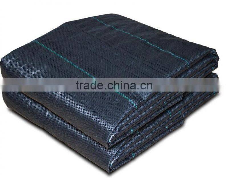brand pp woven fabric ,pp woven geotextile fabric ,ground cover ,best quality and competitive price ,uv treated.