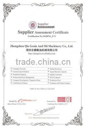 Mini Sunflower Oil Press