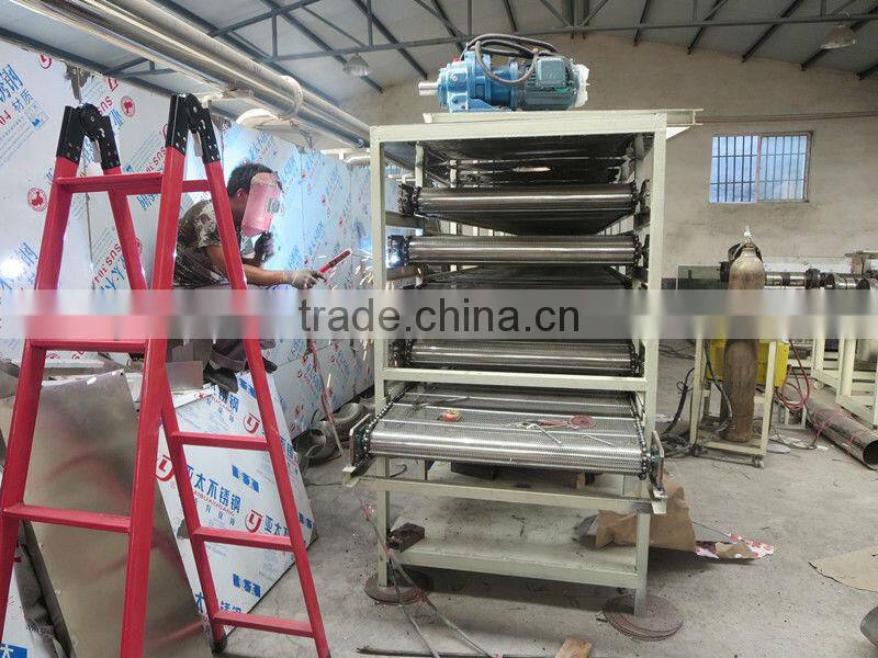 Automatic Continuous Fryer