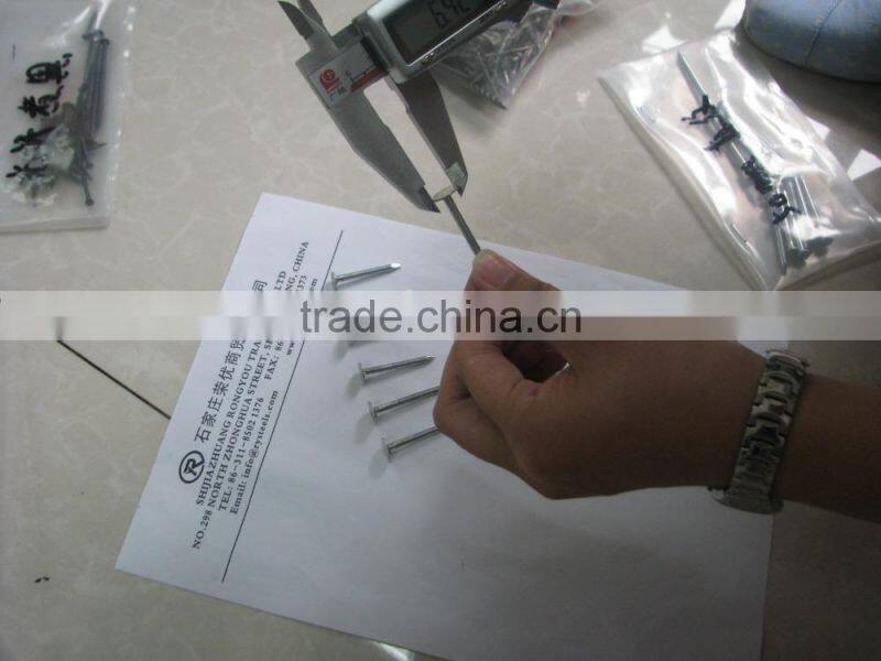 high quality sina common nail&common nails for construction usage iron nails
