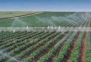 4 rooms aluminum greenhouse rose flower tomato seed vegetable growing irrigation system