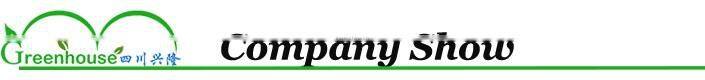 Multi Span Plastic Roofing Sheets Agricultural Commercial Greenhouses for sale