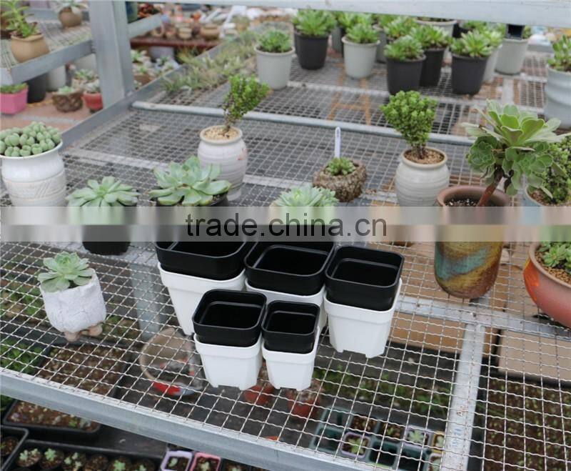 Plastic Colorful More Thickness Square Flower Pot