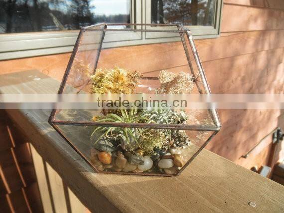 Simple clear Glass Planter Terrarium