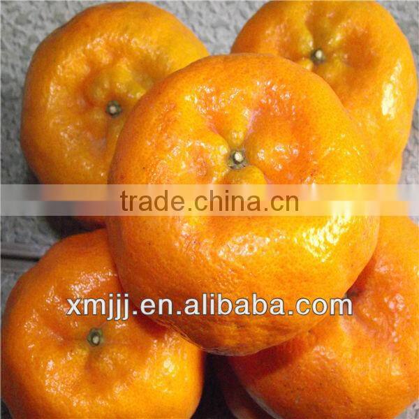 mandarin orange import export malaysia