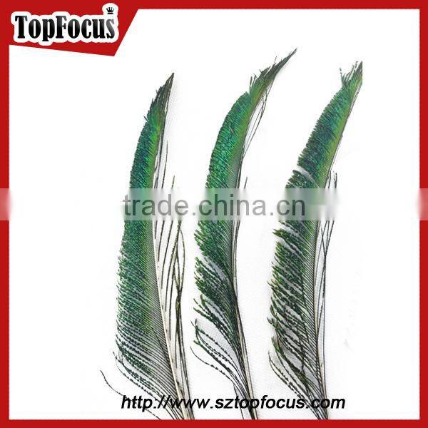 Cheap down raw material green natural peacock feather for sale