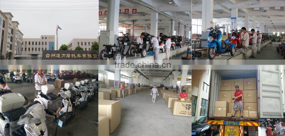 China made 1000w 48v electric cargo tricycle for elderly