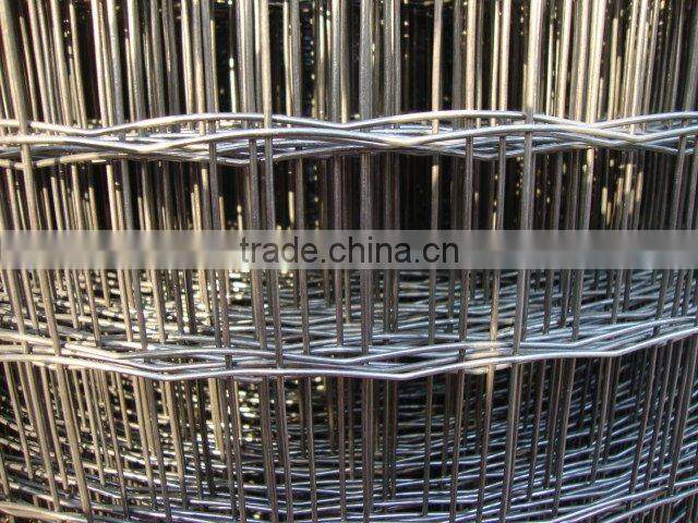 Dutch welded wire mesh(factory and seller)