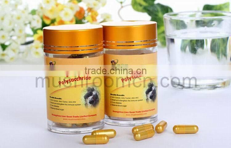 Herbal Supplements Type powder dosage form wild chaga chucks extract powder