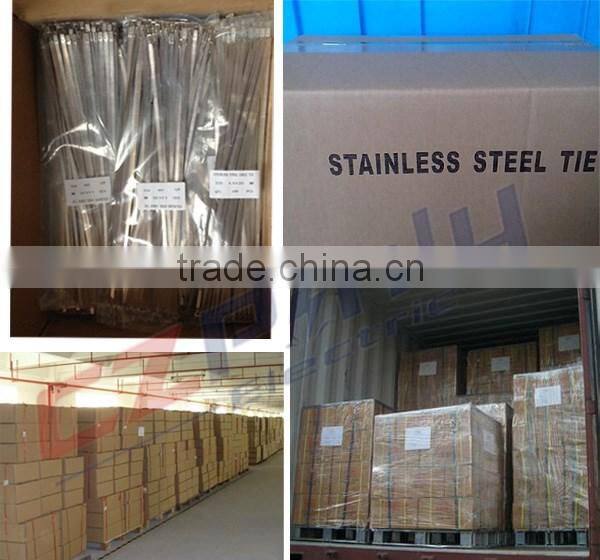 types of 304 stainless steel cable tie