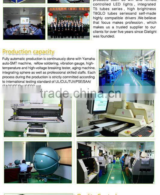 CE pure aluminum lamp body 3w 4w 5w e14 led candle light