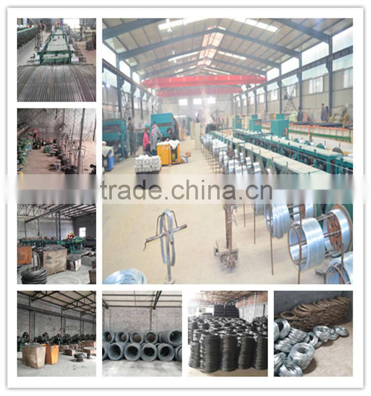 high quality factory produce common iron nail with low price fronm alibaba/common iron wire nail