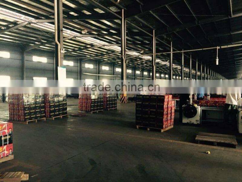 12V 20AH, 30AH, 35AH, 40AH human brand battery for electric rickshaw/tricycle/trike