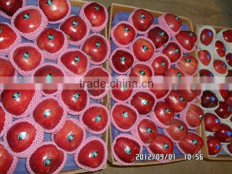 fresh apple fruit named huaniu from china