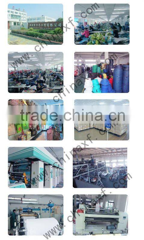 PP non woven laminated bag