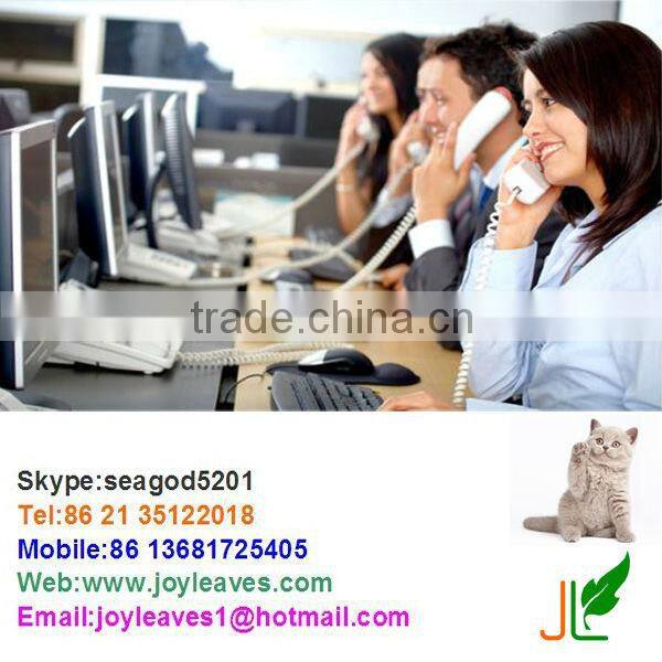 Artificial single trunk pothos new style 2013