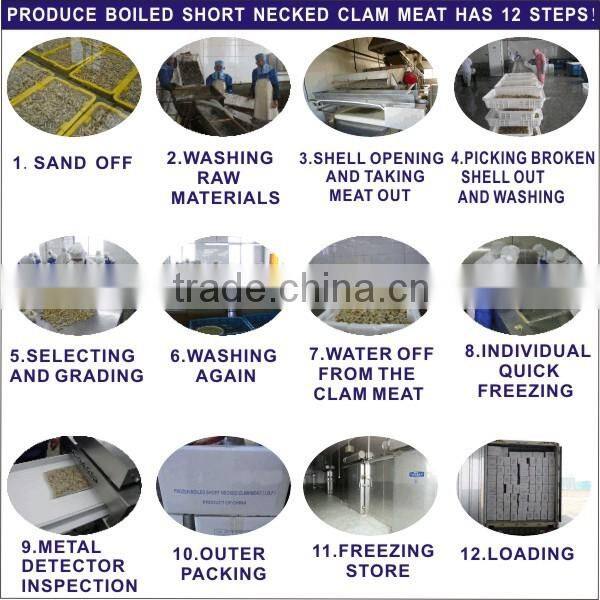 Quick frozen clam seafood