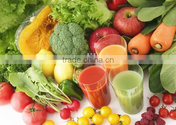 fresh fruits industrial fruit juice extractor small manufacturing machines