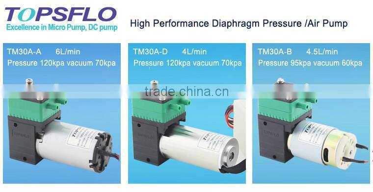 DC Brushless Diaphragm 6v 12v 24v pump for corridor assembly room Aroma Diffusion System