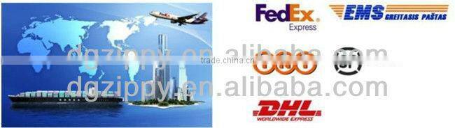 Women high waisted denim Shorts