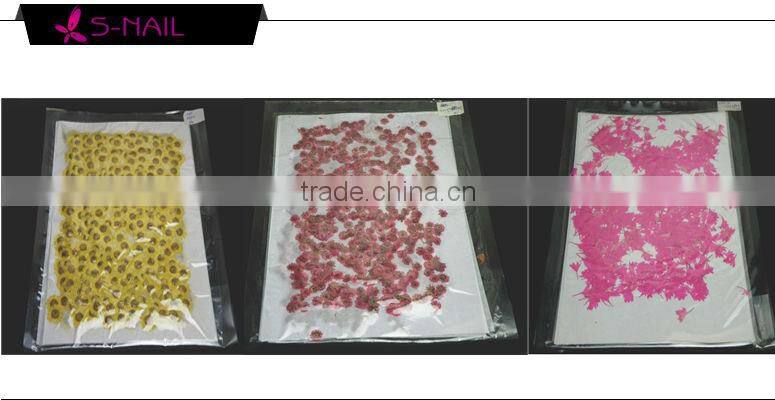 Natural dried flower decoration , nail art dried flowers