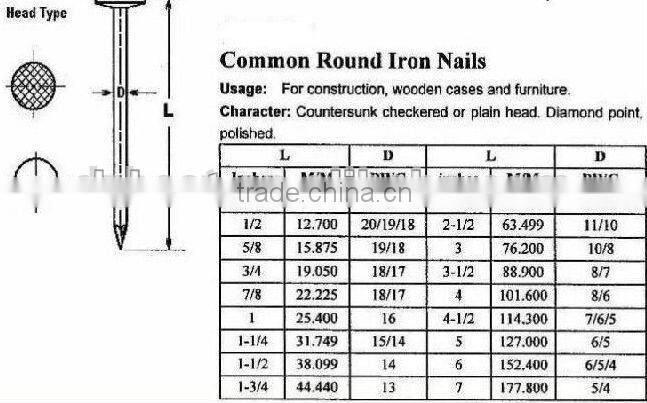 common iron round flat head nail