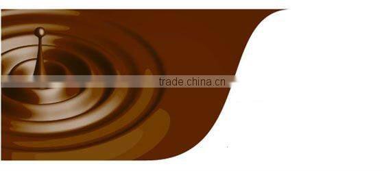 Stainless Steel High Quality Chocolate Gear Pump