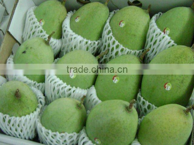 Fresh Mango Competitive price from Vietnam