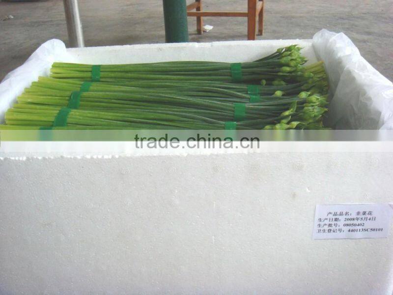 2015 new arrival hot sale fresh onion flowers from professional factory