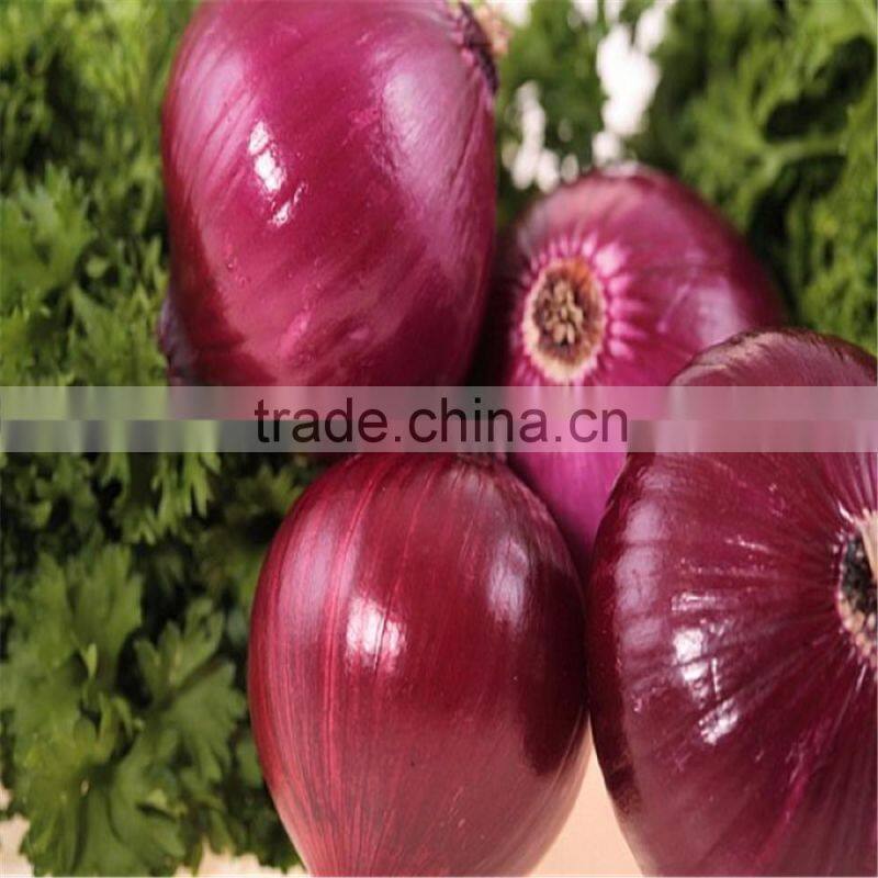 fresh Chinese red onion