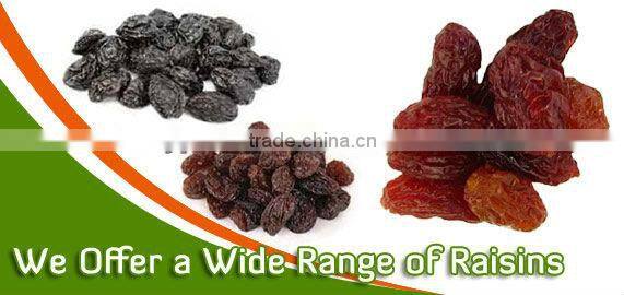 INDUSTRIAL RAISIN OF NEW CROP FOR SELL