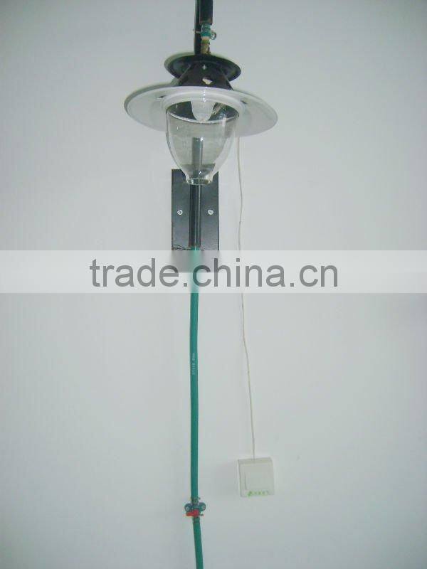 biomass lamp