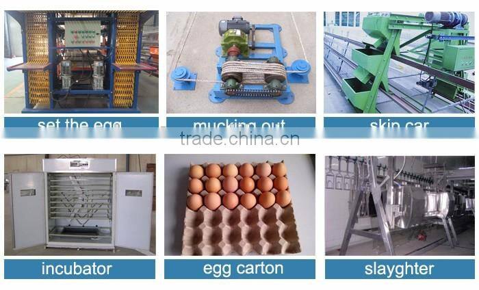 high quality design layer quail cages for sale