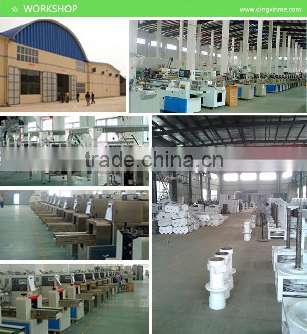 Dyes Back Sealing Liquid Packer/Bagging Machine/Packing Machine/Packaging Machine/Packager