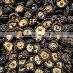 Automatic Mesh Belt Conveyor Dryer