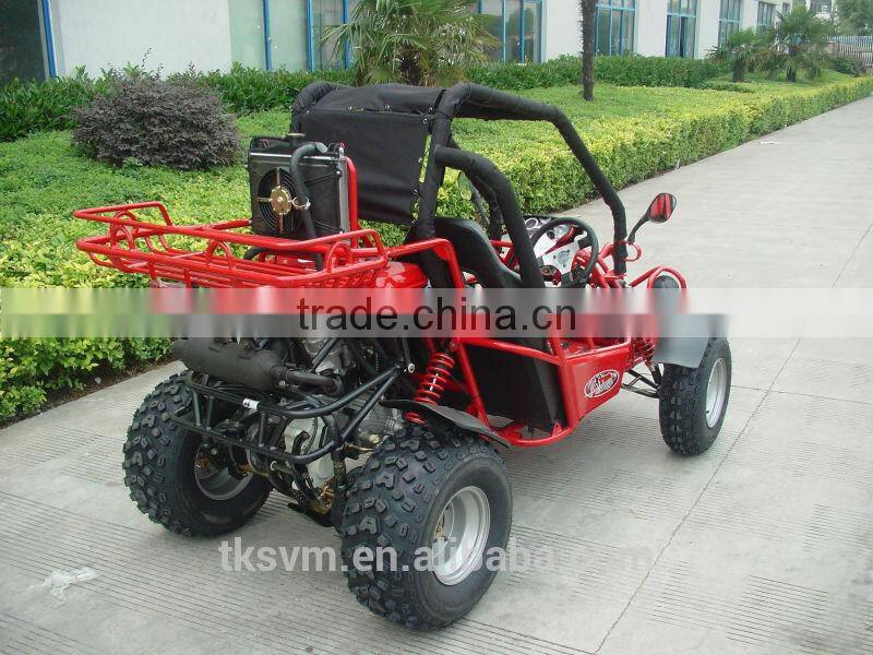 TK250GK-6 250cc Go Kart BUGGY