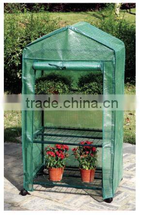 greenhouse mini / greenhouse planting / greenhouse plants