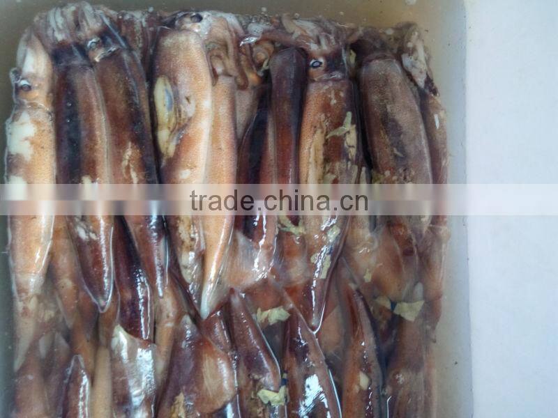 New land sea frozen squid 2015 jigger