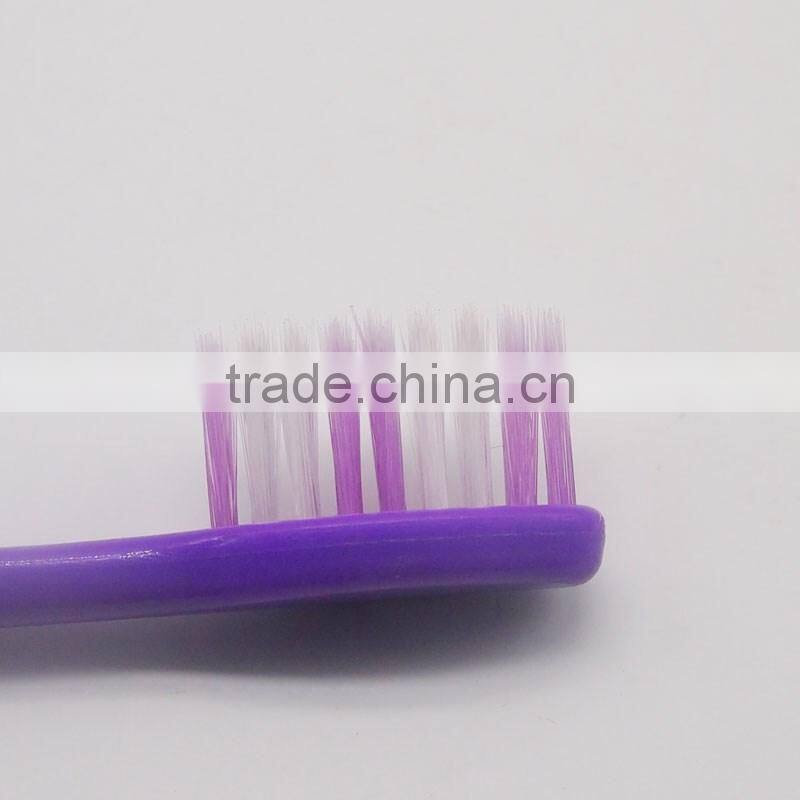 30PK plastic bag packaged dental floss pick