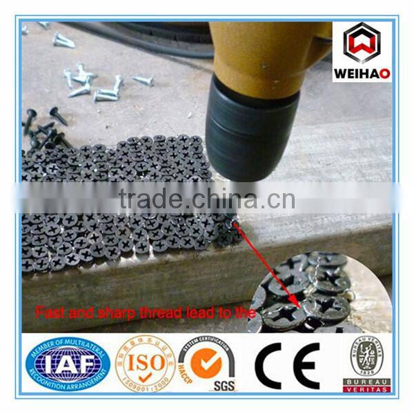 4.8*38 50 75 90 100 110mm hot sale drywall screw for importer