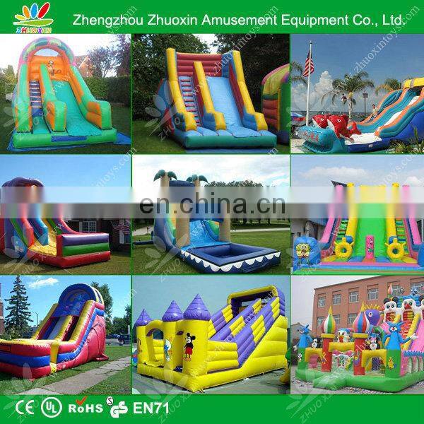 giant inflatable water slide for adult/inflatable water slides china