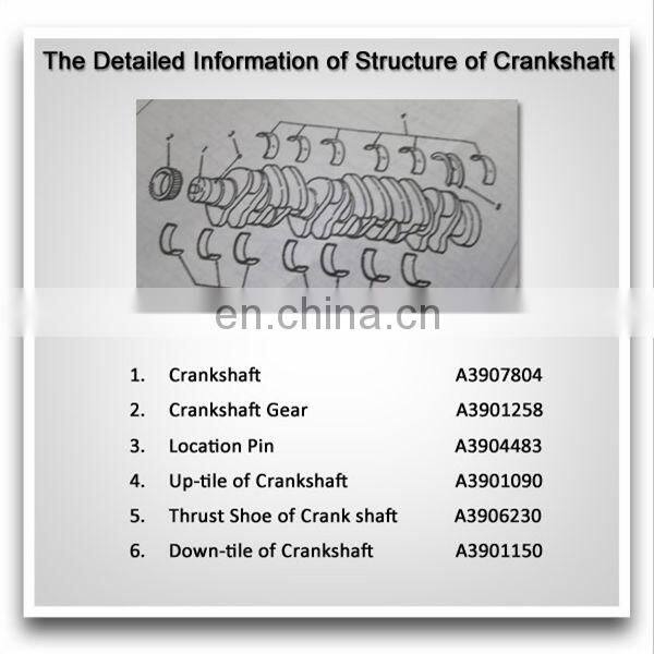 3929036 Truck Diesel Engine 4BT Crankshaft