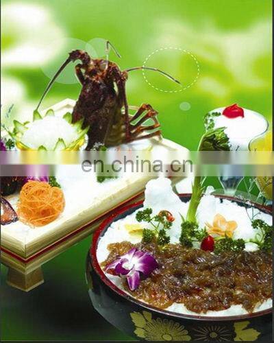 Korea GGM motor 85kg/24h crush ice maker with CE confirmed