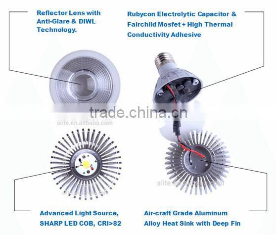 Europe market 12w par30 led lightings spotlight ce rohs ul