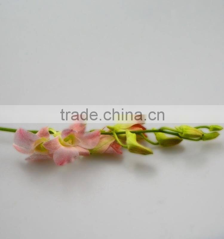 Durable best sell fresh pink color cattleya orchid