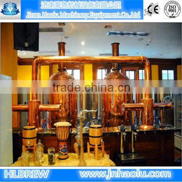 100L mini home beer brewing equipment,micro beer making system